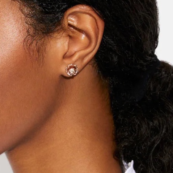 Sexy Rose Gold - COACH Necklace & Earring Set - Picture 4 of 10